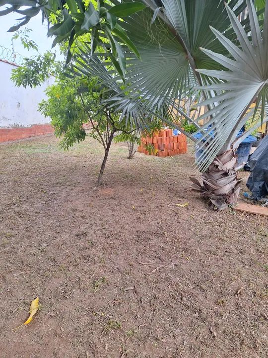 Serviço de jardinagem  - Foto 4
