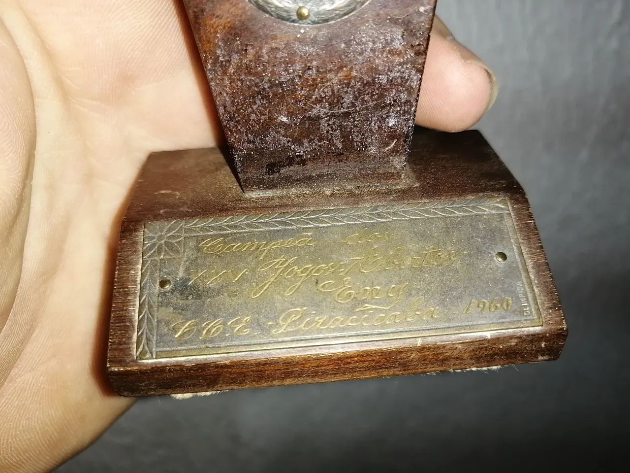 Troféu decorativo - 4 unudades - Foto 5