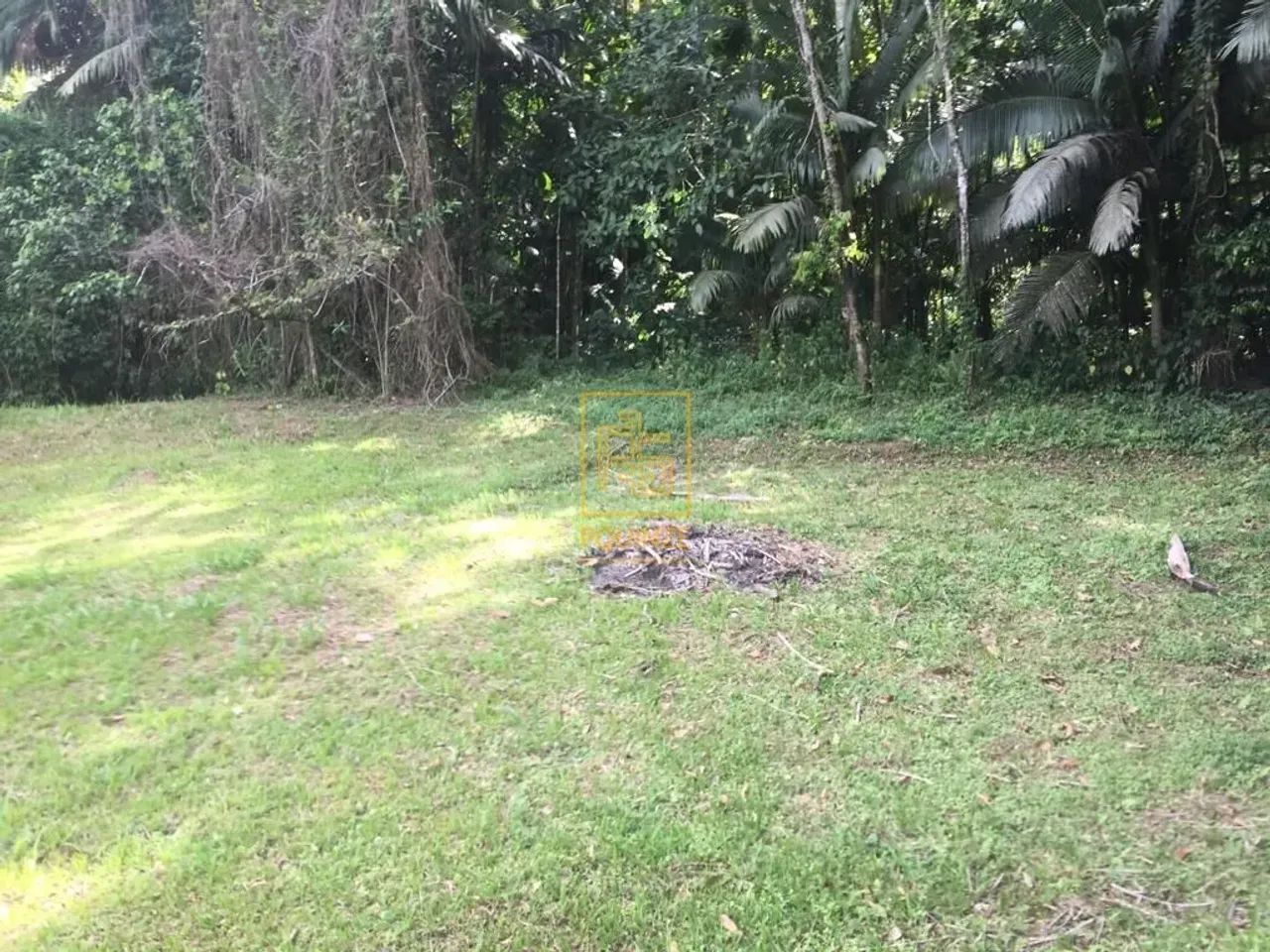 Sítio no Bairro Dona Clara em Timbó - Foto 8