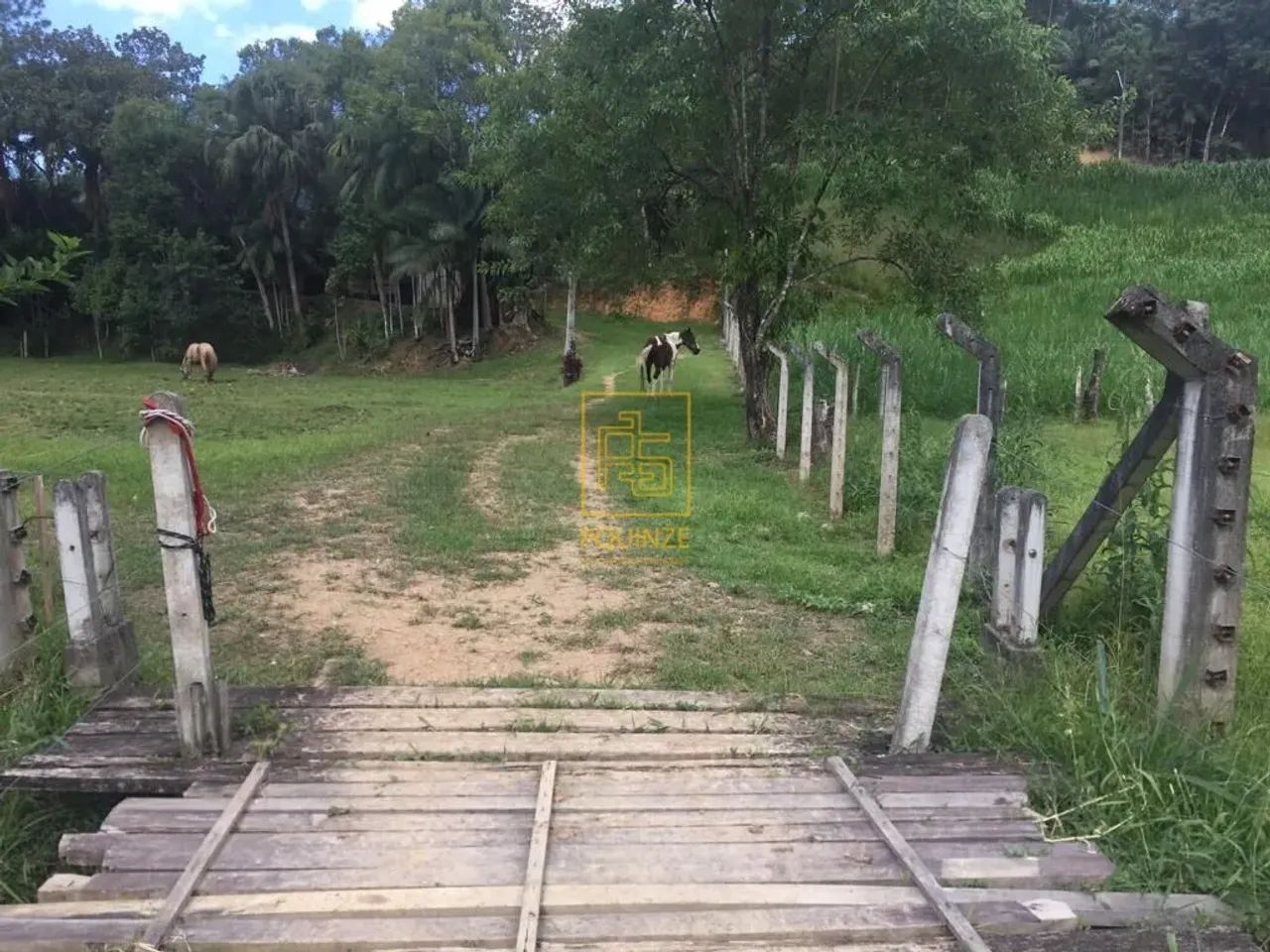 Sítio no Bairro Dona Clara em Timbó - Foto 15