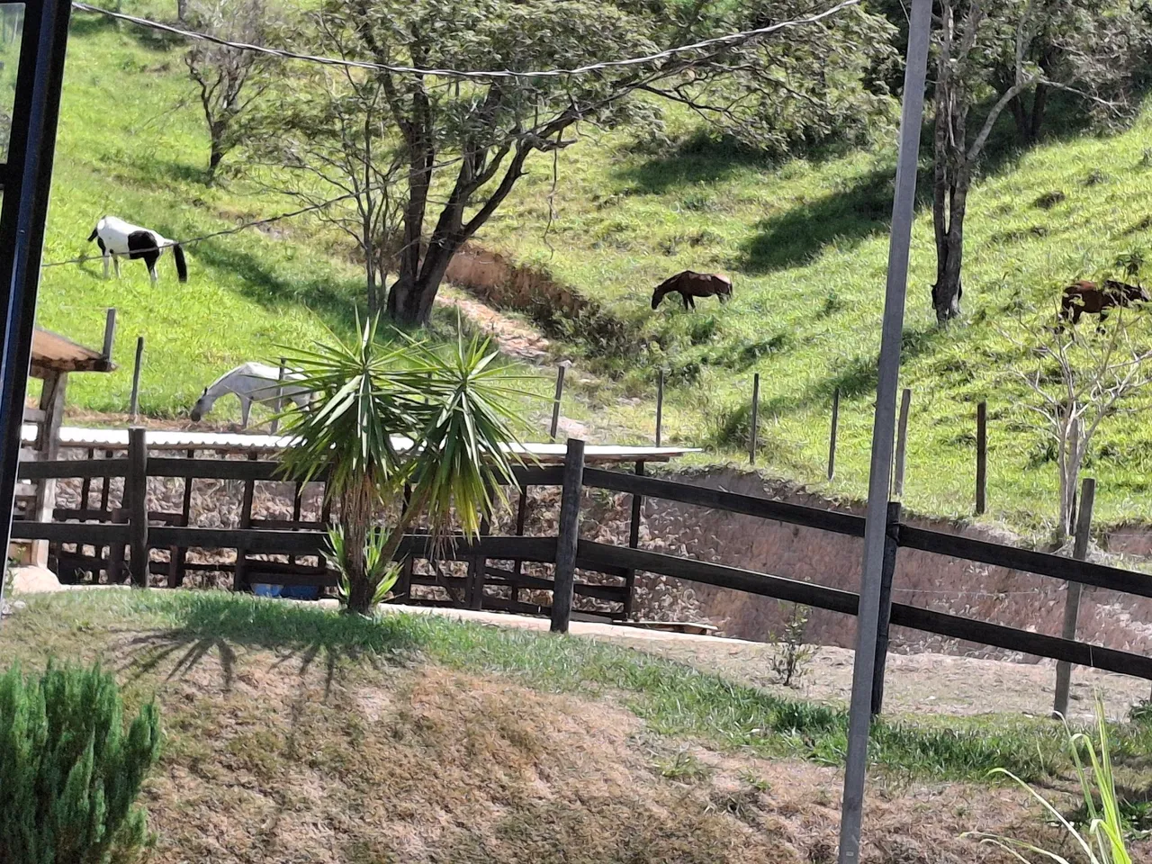 Sitio de 22 hectares em caeté próximo a Antônio do Santos mg