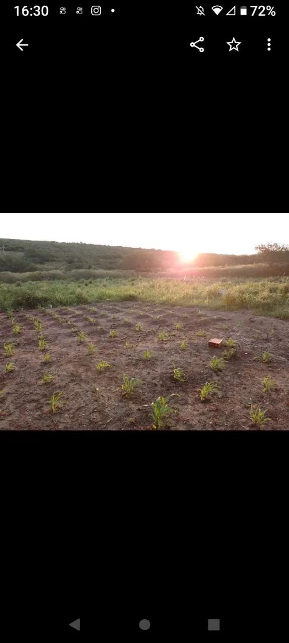 12 tarefas+ casa avenda  - Foto 10