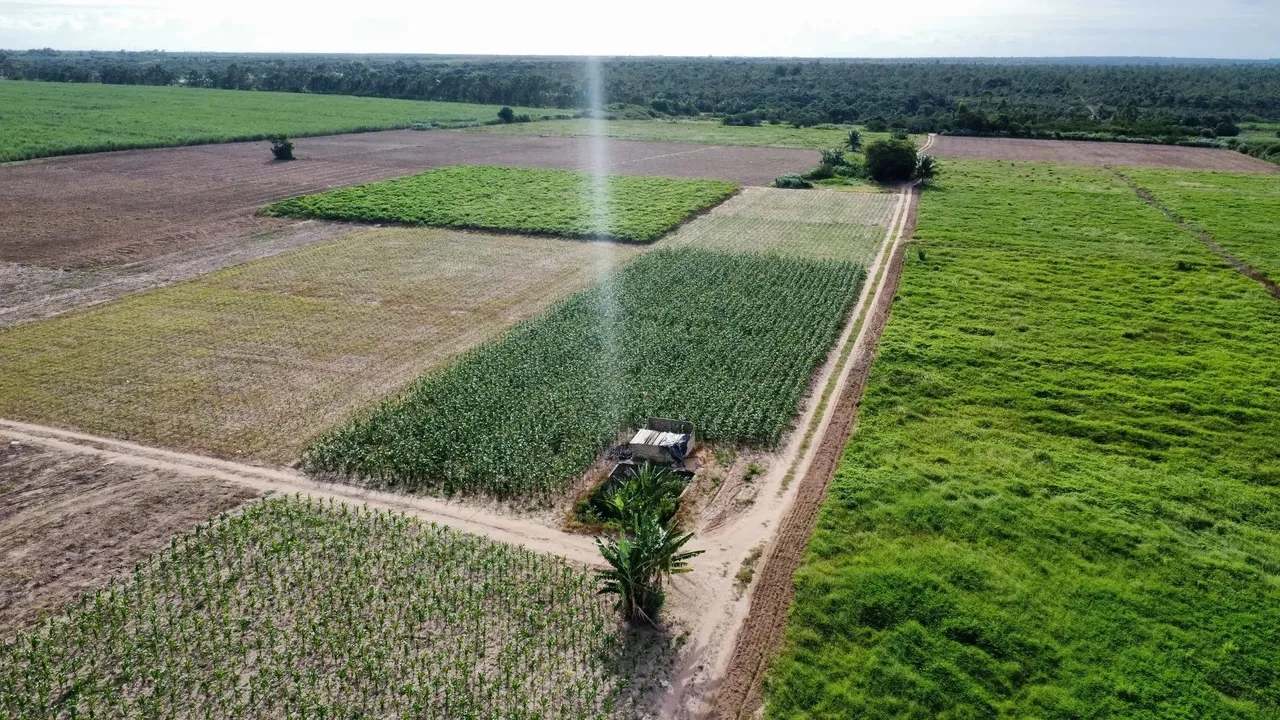 fazenda com 47 hectares no arena terra para plantação de coqueiros e irrigação