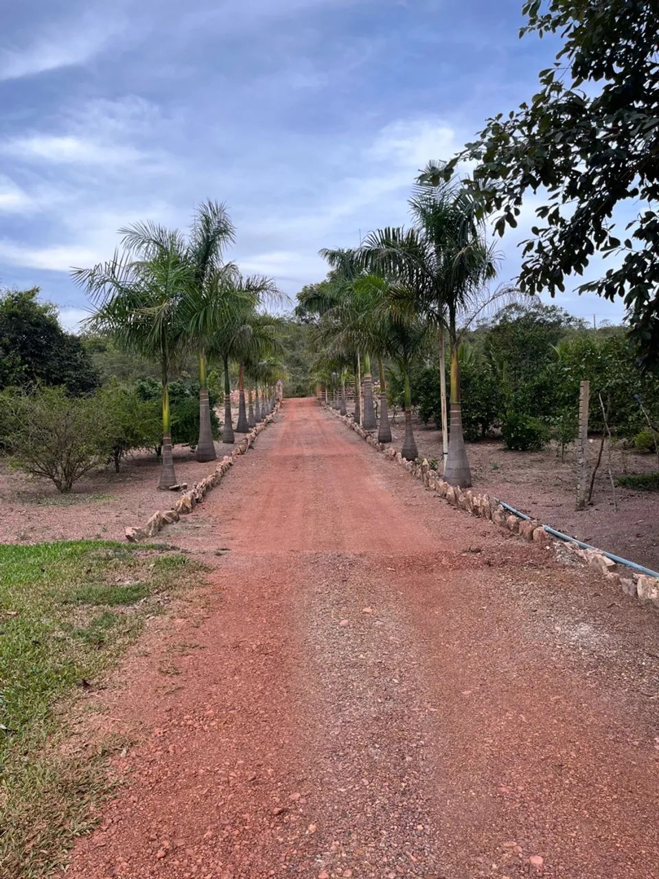 Chácara a venda!! (Chapada dos Veadeiros) - Foto 2