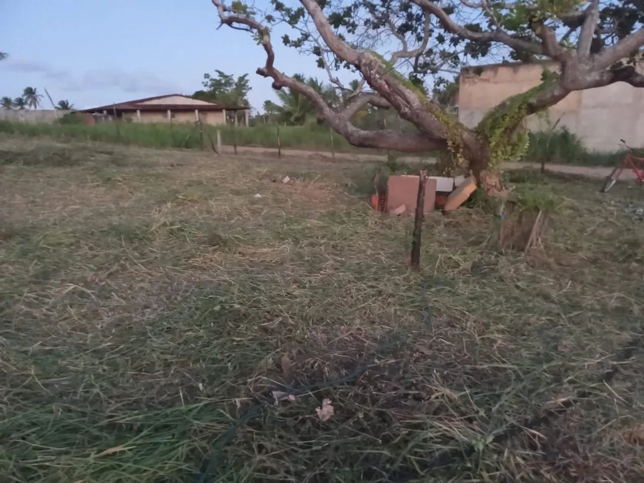 Terreno dividido em 6 lotes no sapé itaporanga  - Foto 3