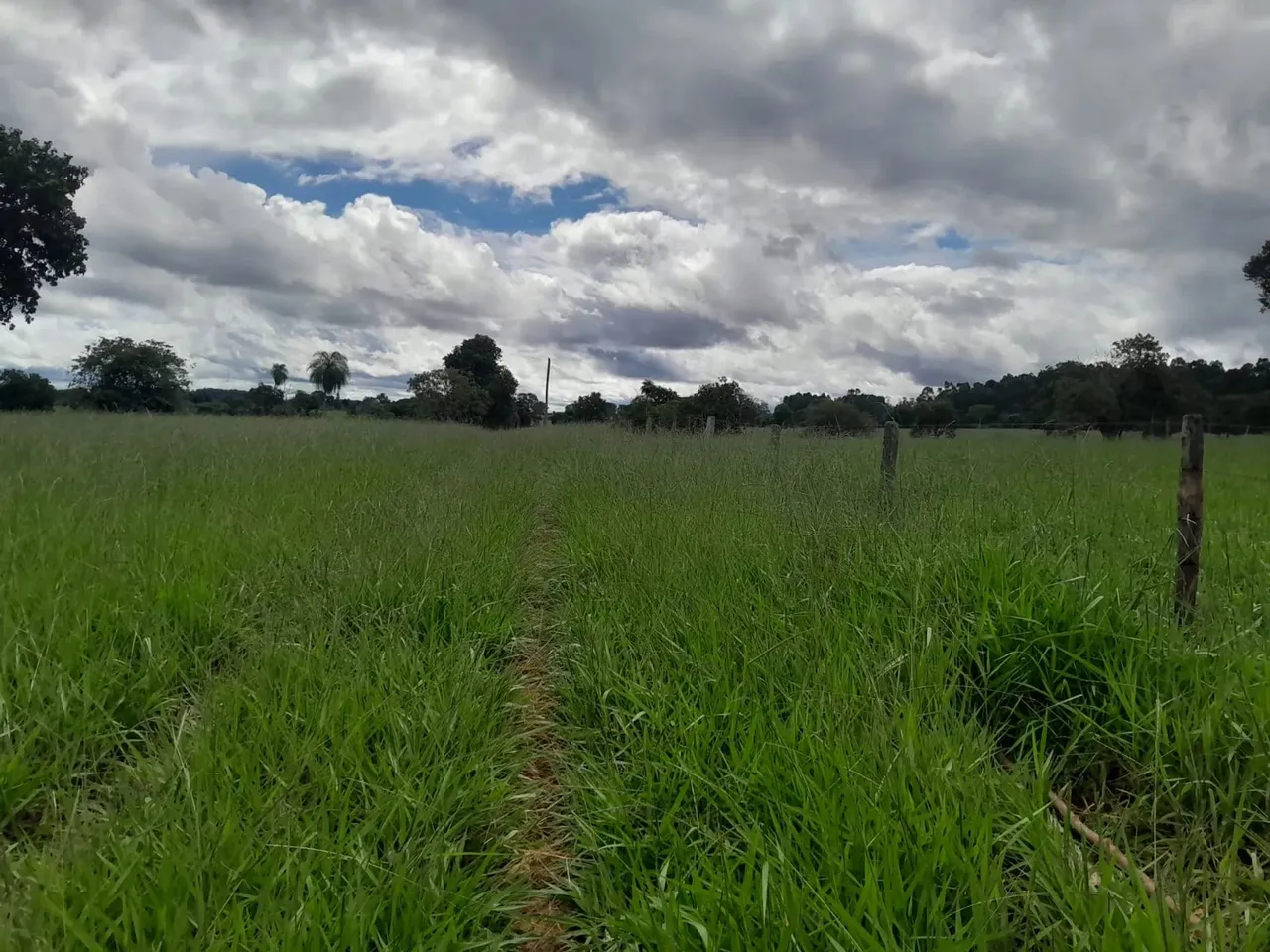Imóvel para aluguel com 3300000 metros quadrados em Centro - Jardim - MS