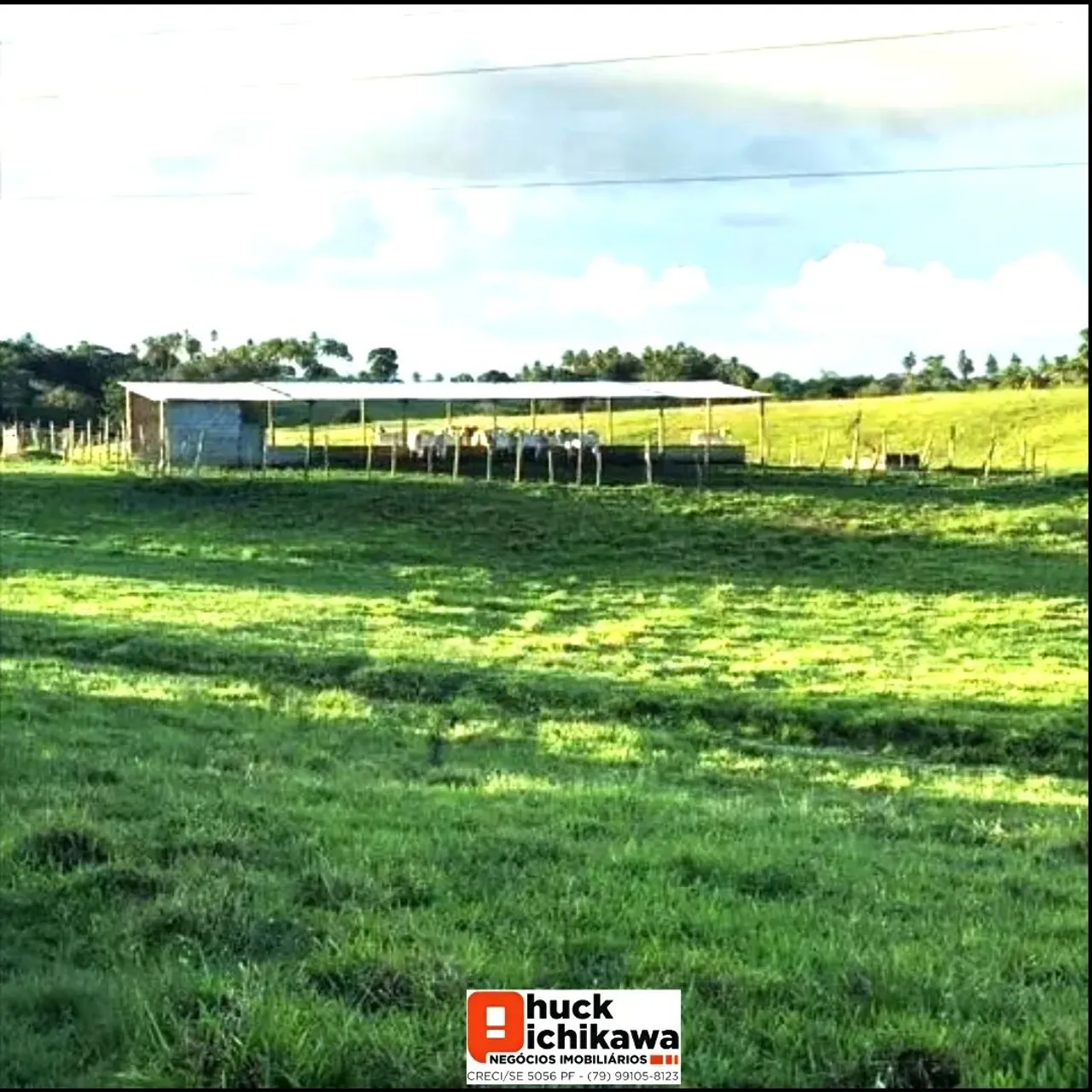 150 TAREFAS | 45 HECTARES | RICA EM ÁGUA | INFRAESTRUTURA COMPLETA