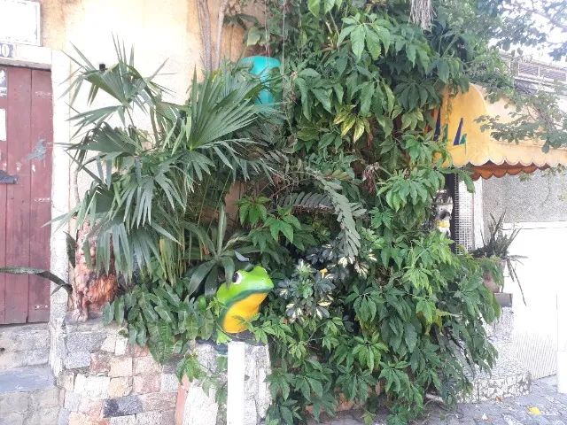 Foto - Rio de Janeiro - Campo Grande
