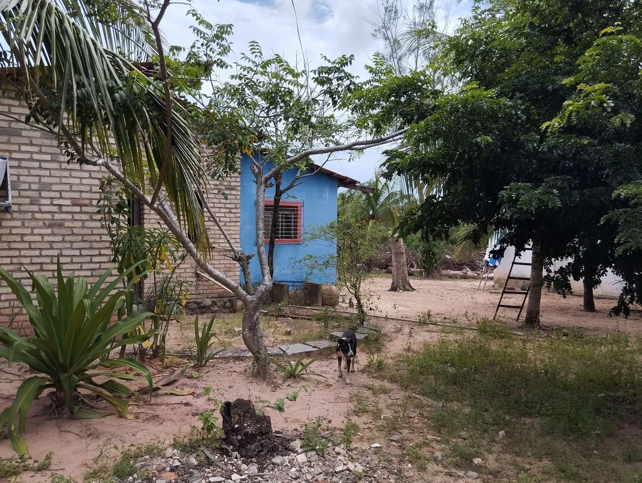 Chácara/granja em pium