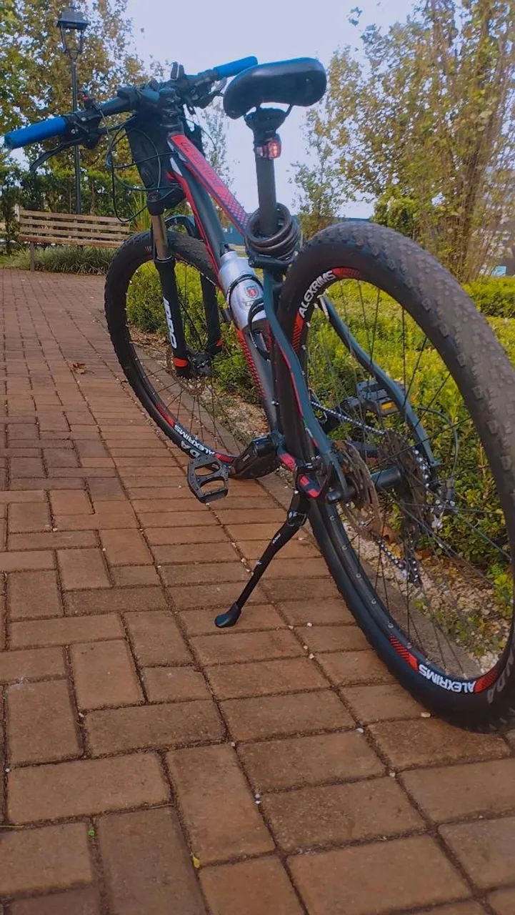 Bike Oggi Aro 29
