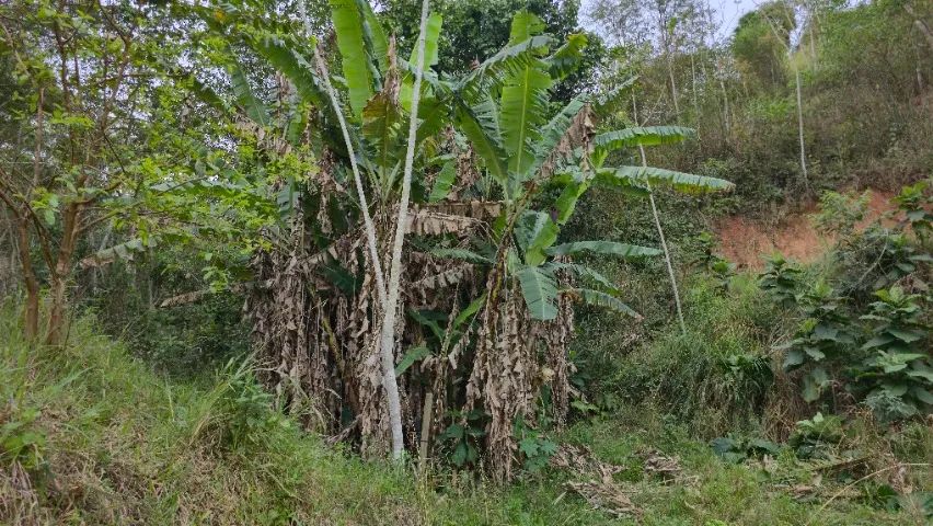 Chácara pronta para construir com área de 4.643,22 m² - Foto 4