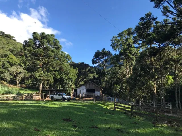 Linda Propriedade Rural à Venda em Itati - RS na Rota do Sol com 280 Hectares