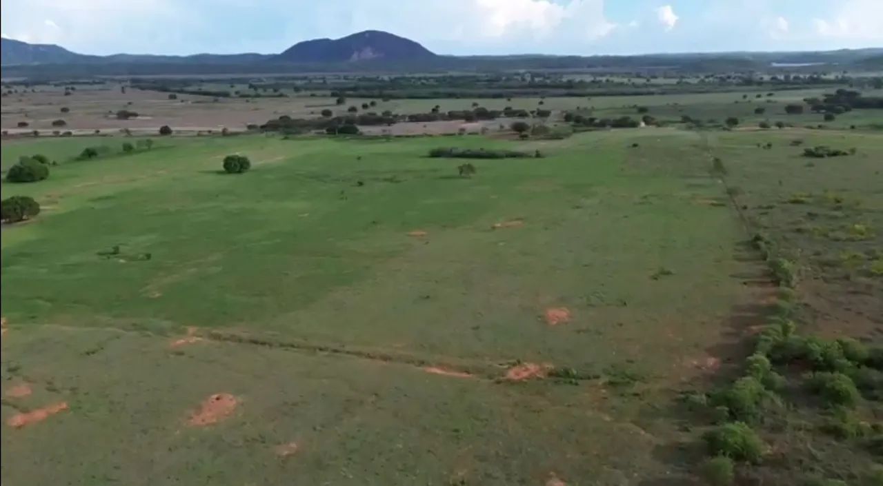 Vendo Propriedade em Brejo Santo! - Foto 5