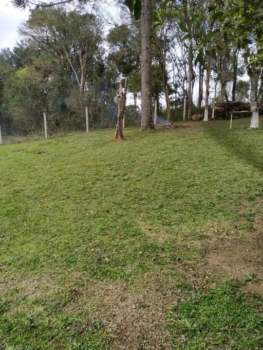 Chacara em Mandirituba - Foto 10