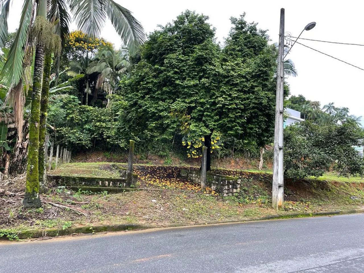 TERRENO no COSTA E SILVA com 0 quartos para VENDA, 1056 m² - Foto 4
