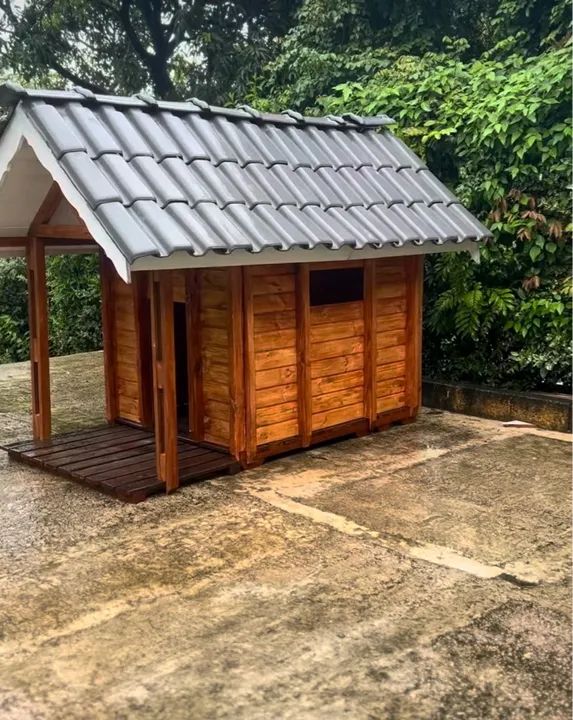 Casinha para cães porte grande  - Foto 3