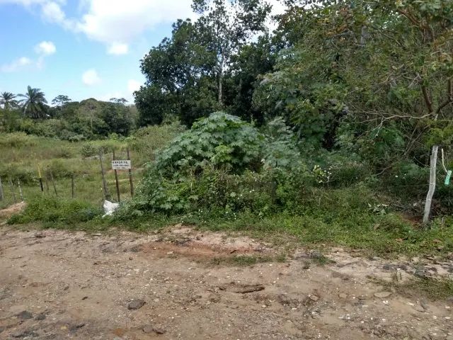 Terreno 570 m2 - Foto 5