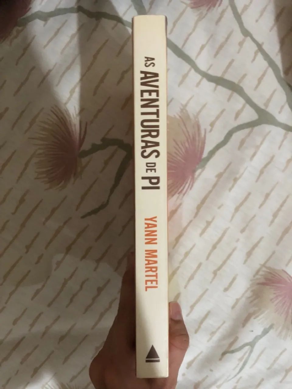 As aventuras de Pi - Foto 3