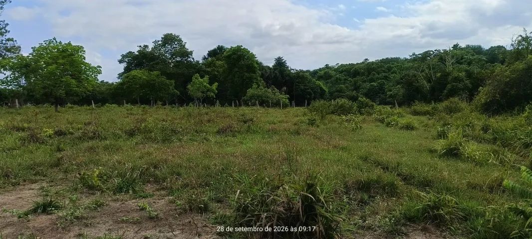 Vendo Chácara Araguaína - TO - Foto 4