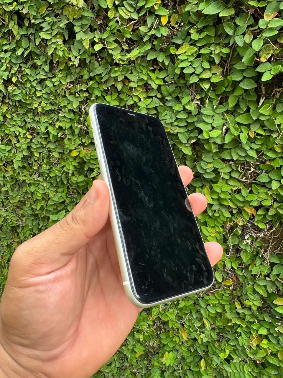 iPhone 11 64G - Celulares e Smartphones - Casa Caiada, Olinda