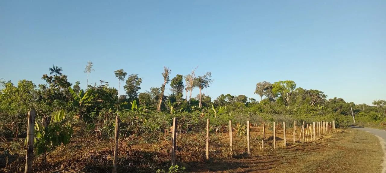 Verde-se uma lindo sítio  - Foto 5