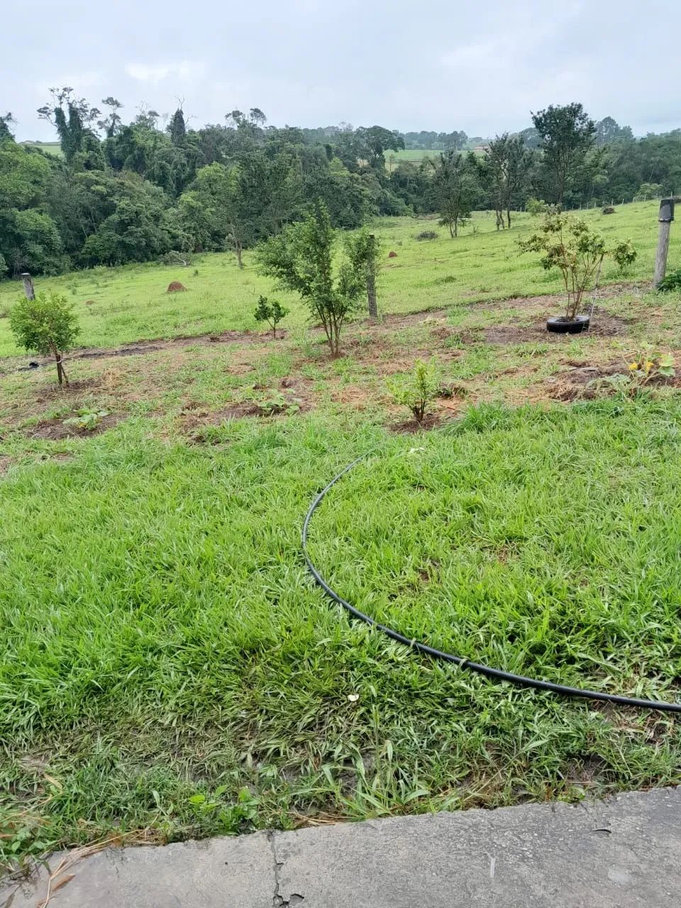 Sítio no bairro da Sabiaúna (( Itapetininga)) com ((1.5 alqueires e meio)) moradia simples - Foto 3