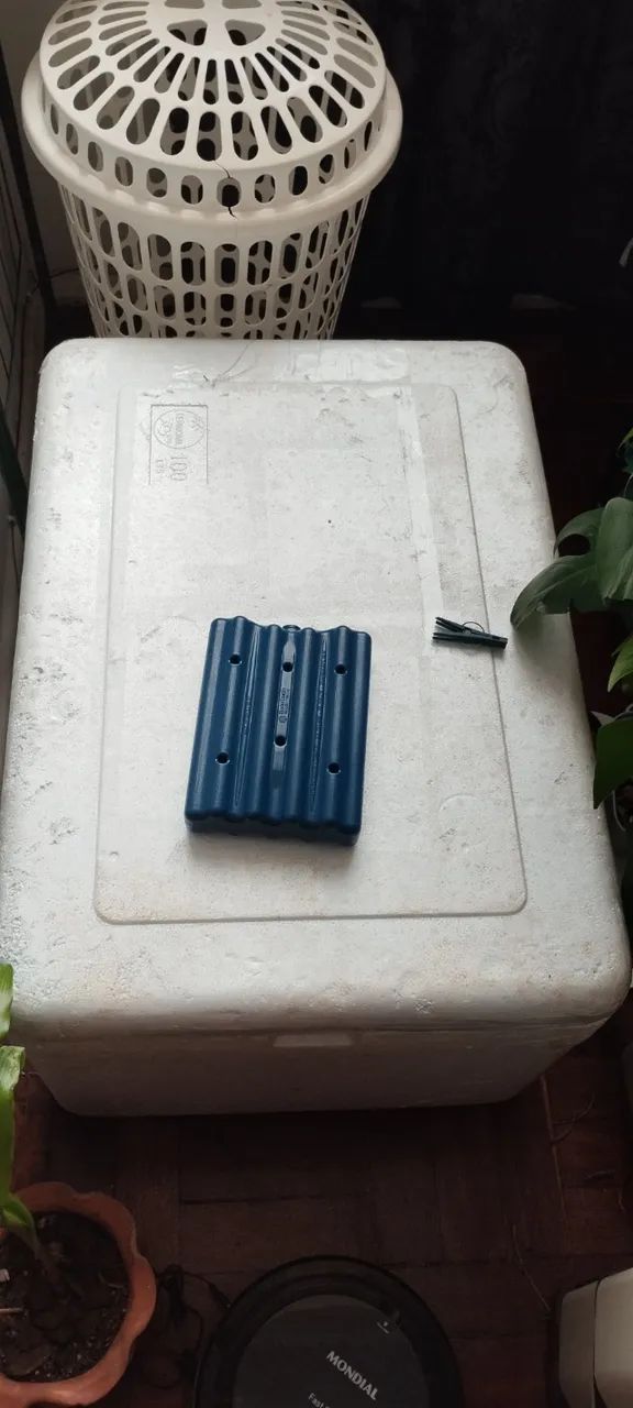 Isopor 100L com dreno