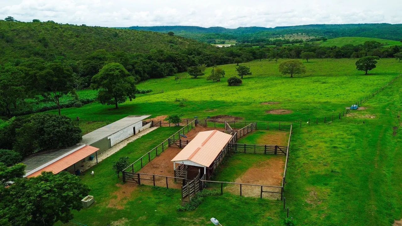 Fazenda santo Antonio do descoberto  - Foto 2