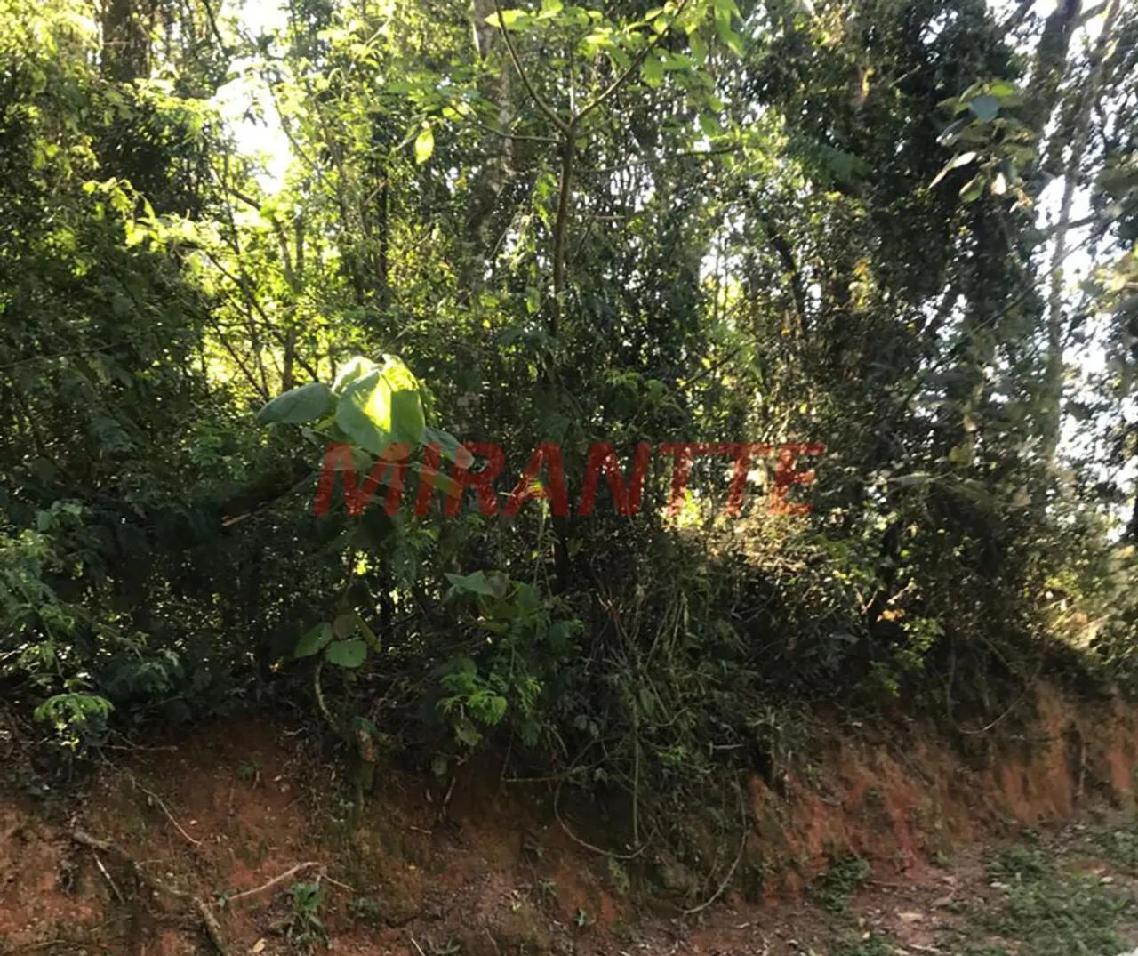 Terreno em Serra da Cantareira - Foto 2