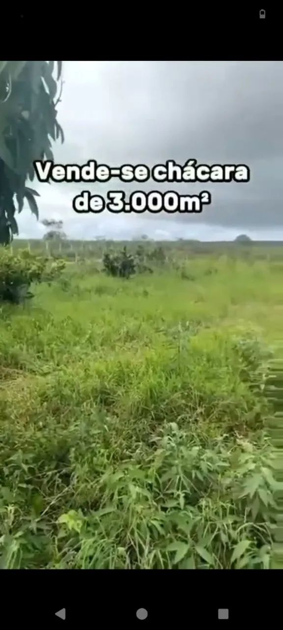 Chácara 3 mil metros quadrados 