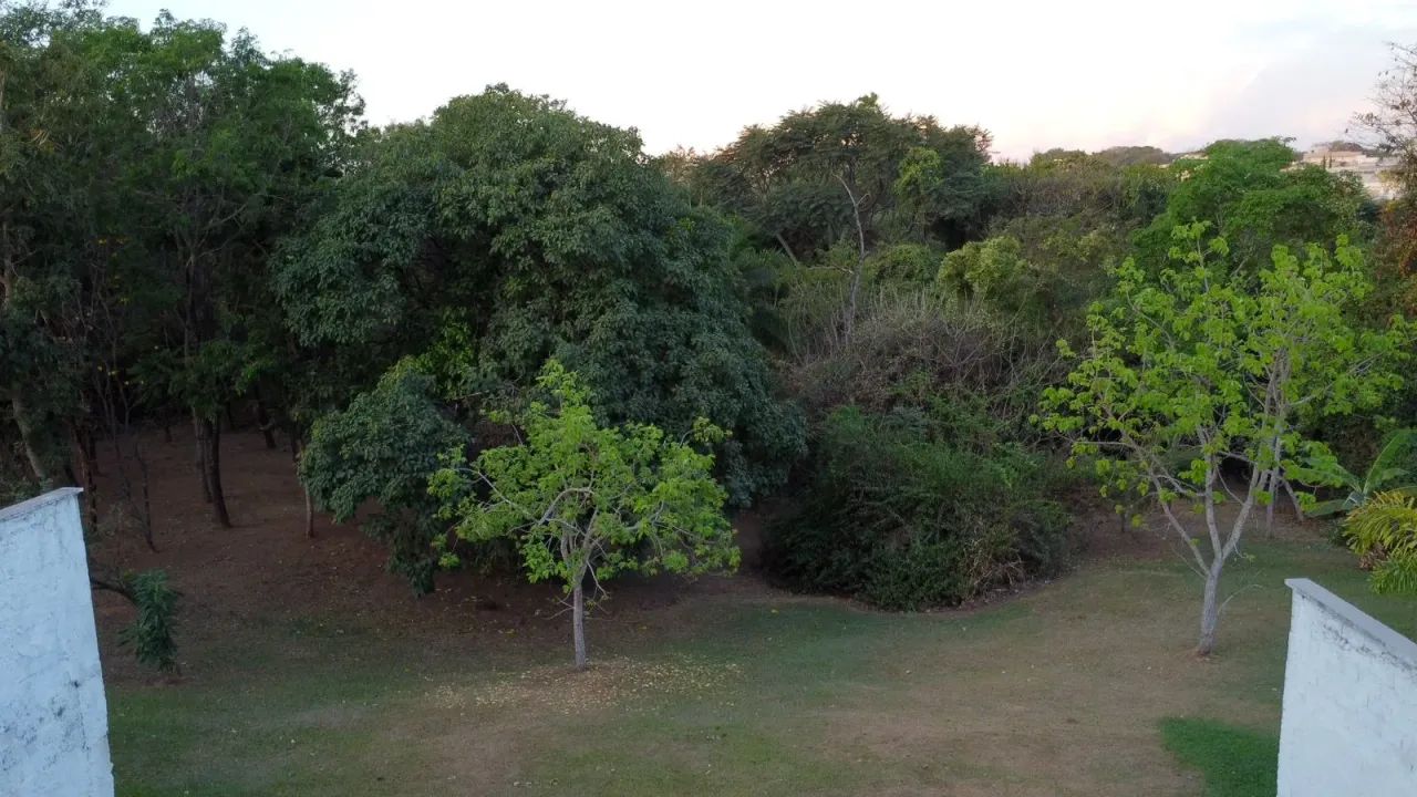 Lote - Condomínio do Lago - Foto 5
