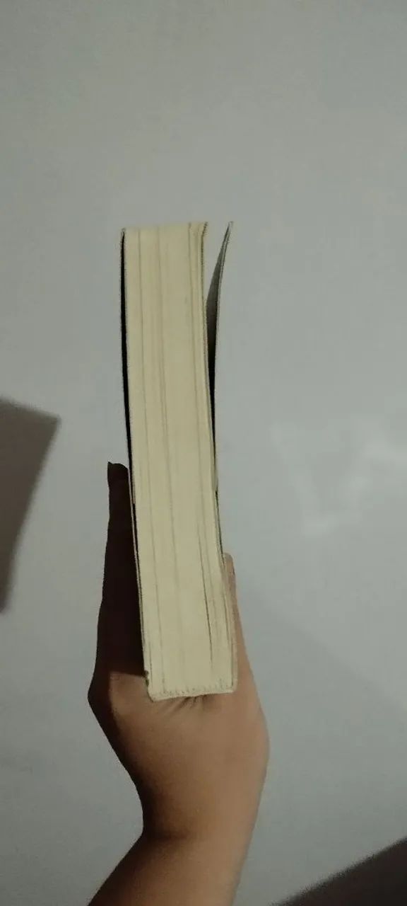 Livro Wicked  - Foto 2
