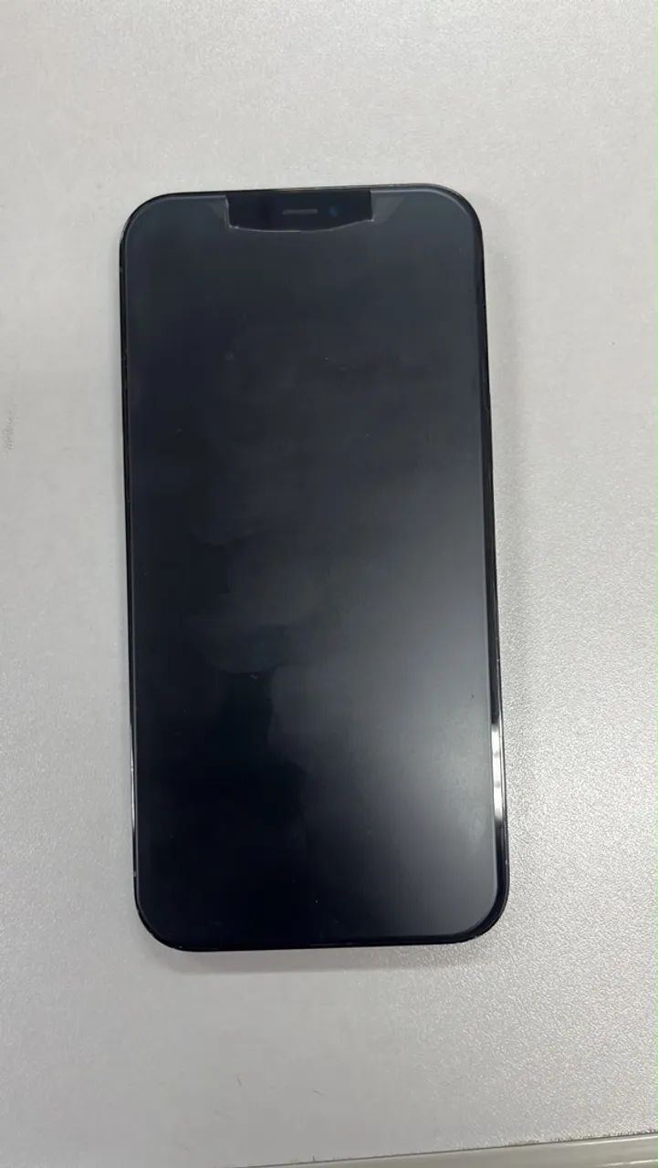 iPhone 12 Pro Max 