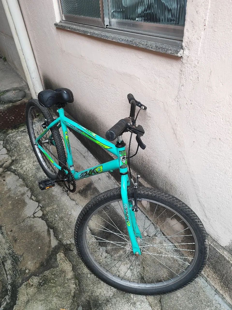 Bicicleta 