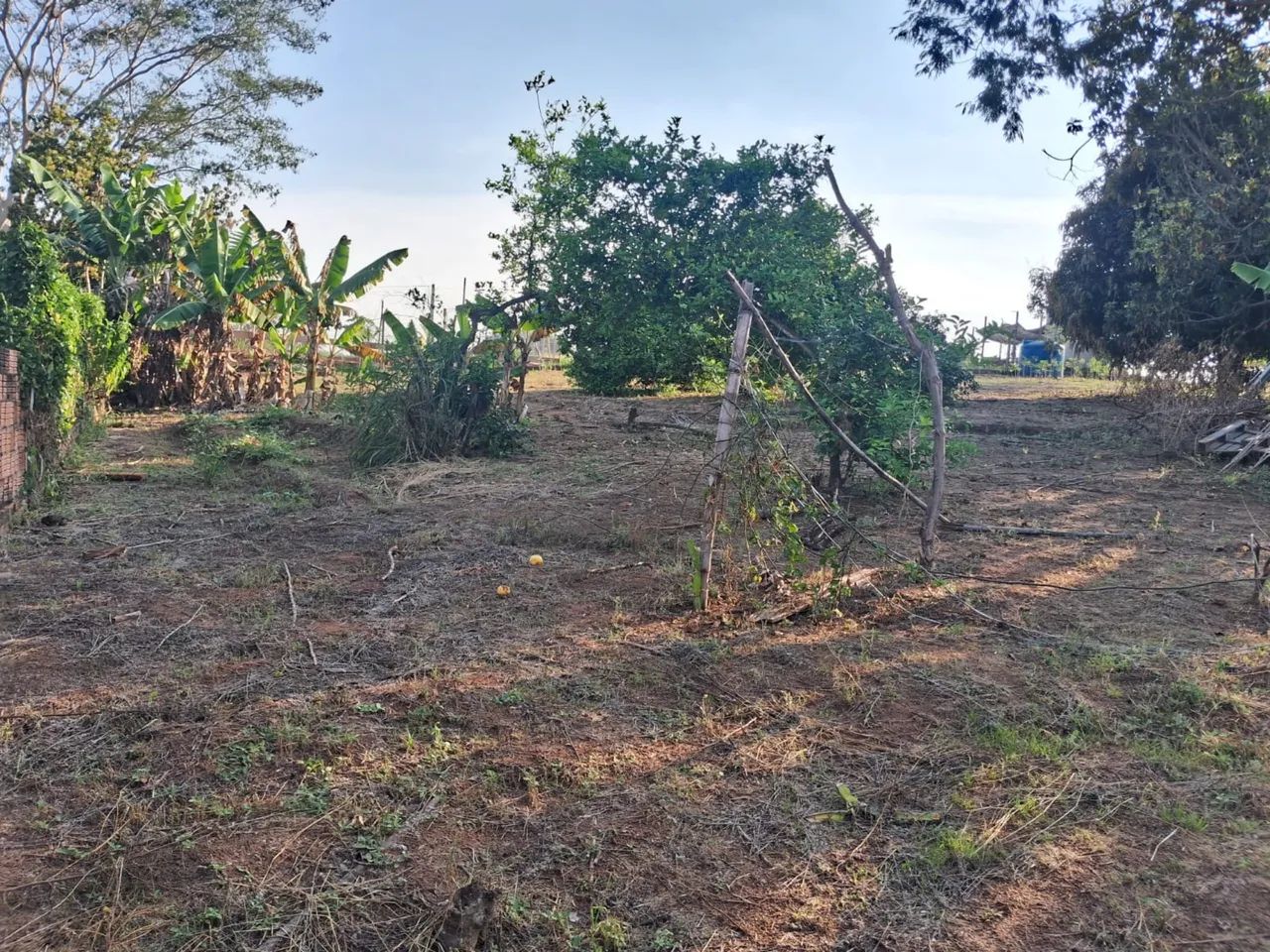 CHÁCARA EM MARÍLIA  - Foto 5