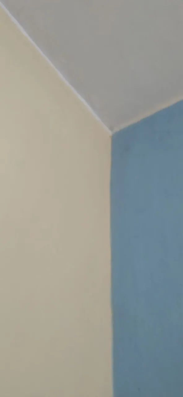 Pinturas e restauração de pinturas   - Foto 3