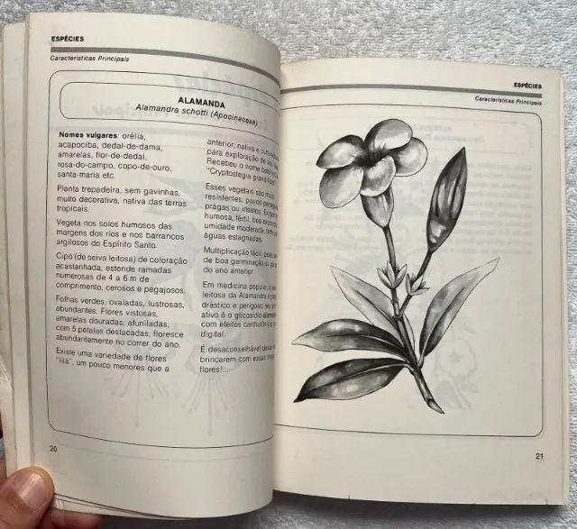 Livro - Trepadeiras e Cipós - Foto 4
