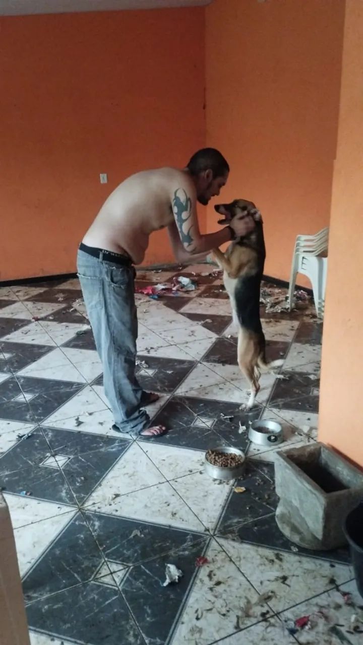 Cadela - Foto 2