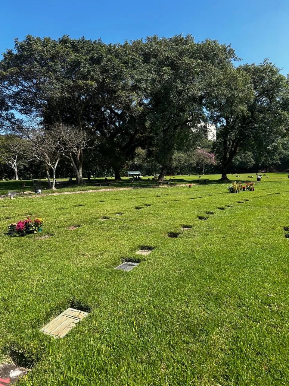 JAZIGO À VENDA - CEMITÉRIO PARQUE MORUMBY - Foto 5