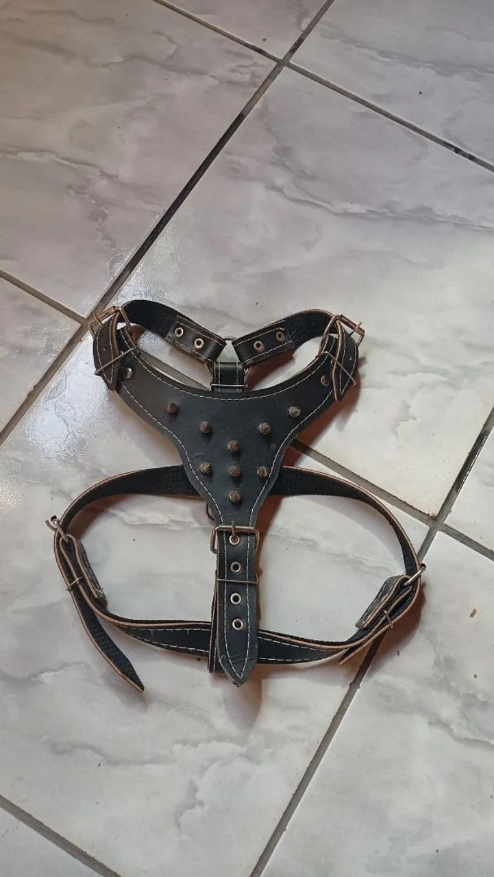 Vendo uma peitoral nova - Foto 2