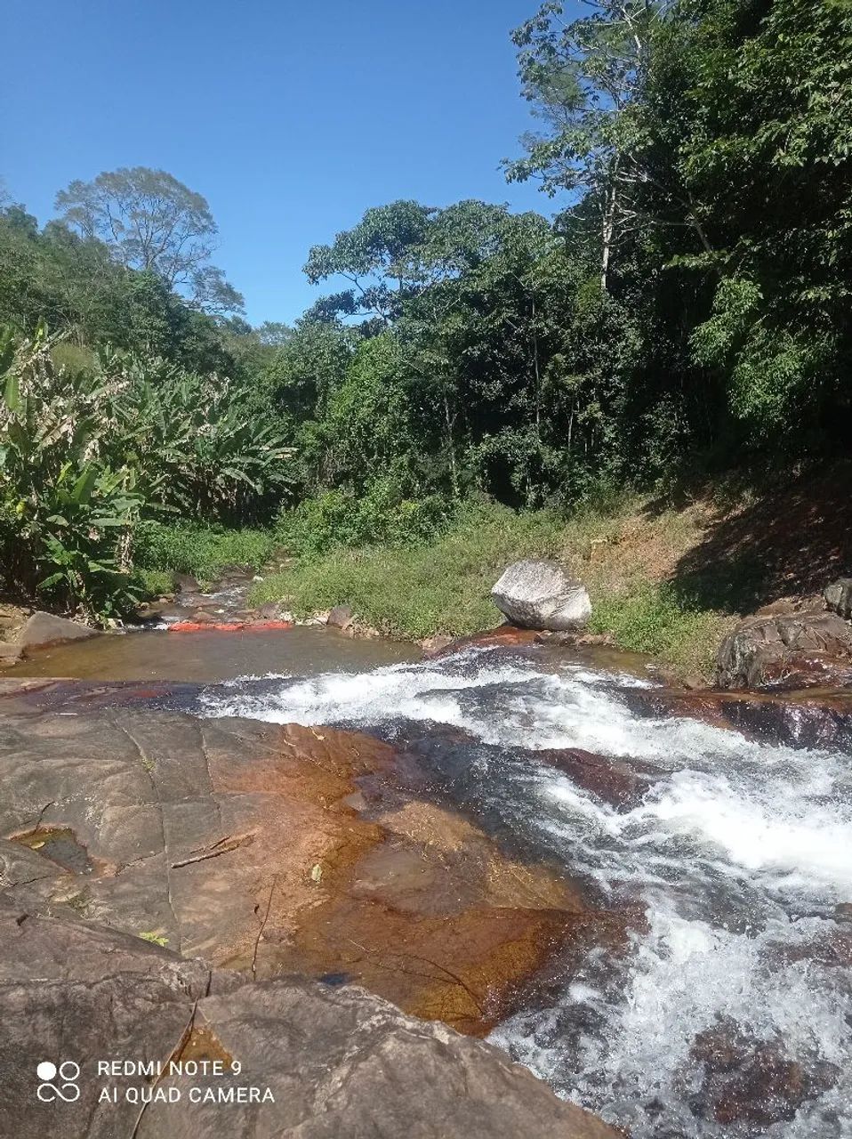 SÍTIO EM ITAJURU/5 HECTARES  - Foto 4