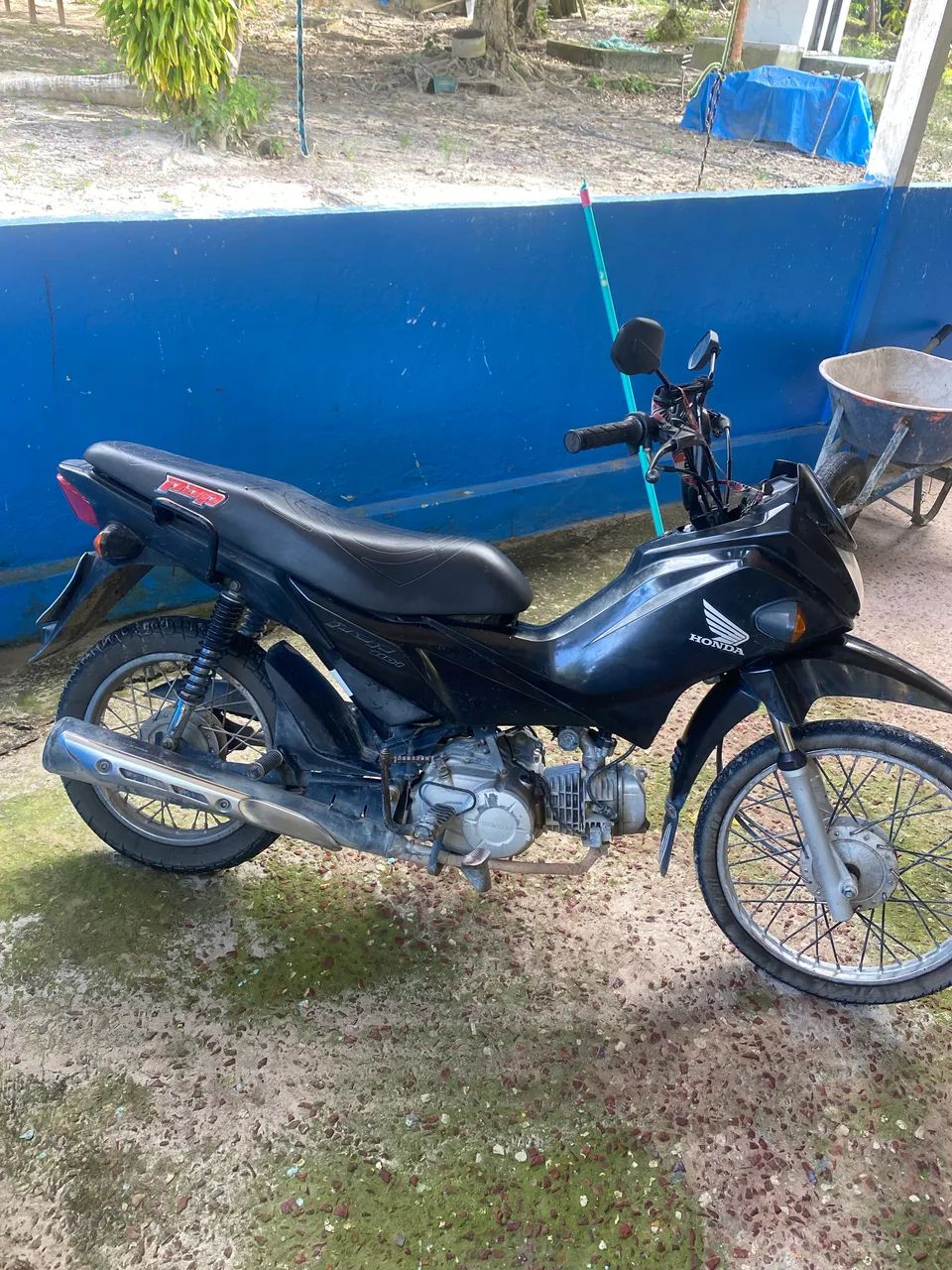 Pop 110