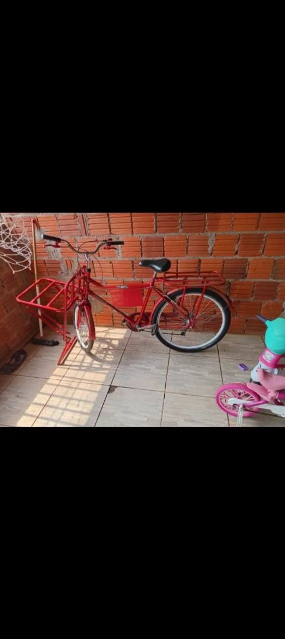 Bicicleta cargueira 