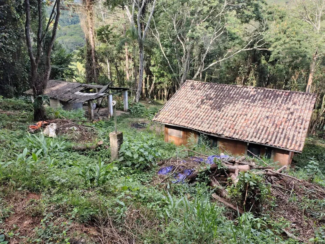 sitio 2 5 alqueires em Joanópolis sp - Foto 3