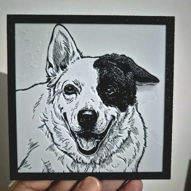 Impressão de Fotos em 3D - Foto 2