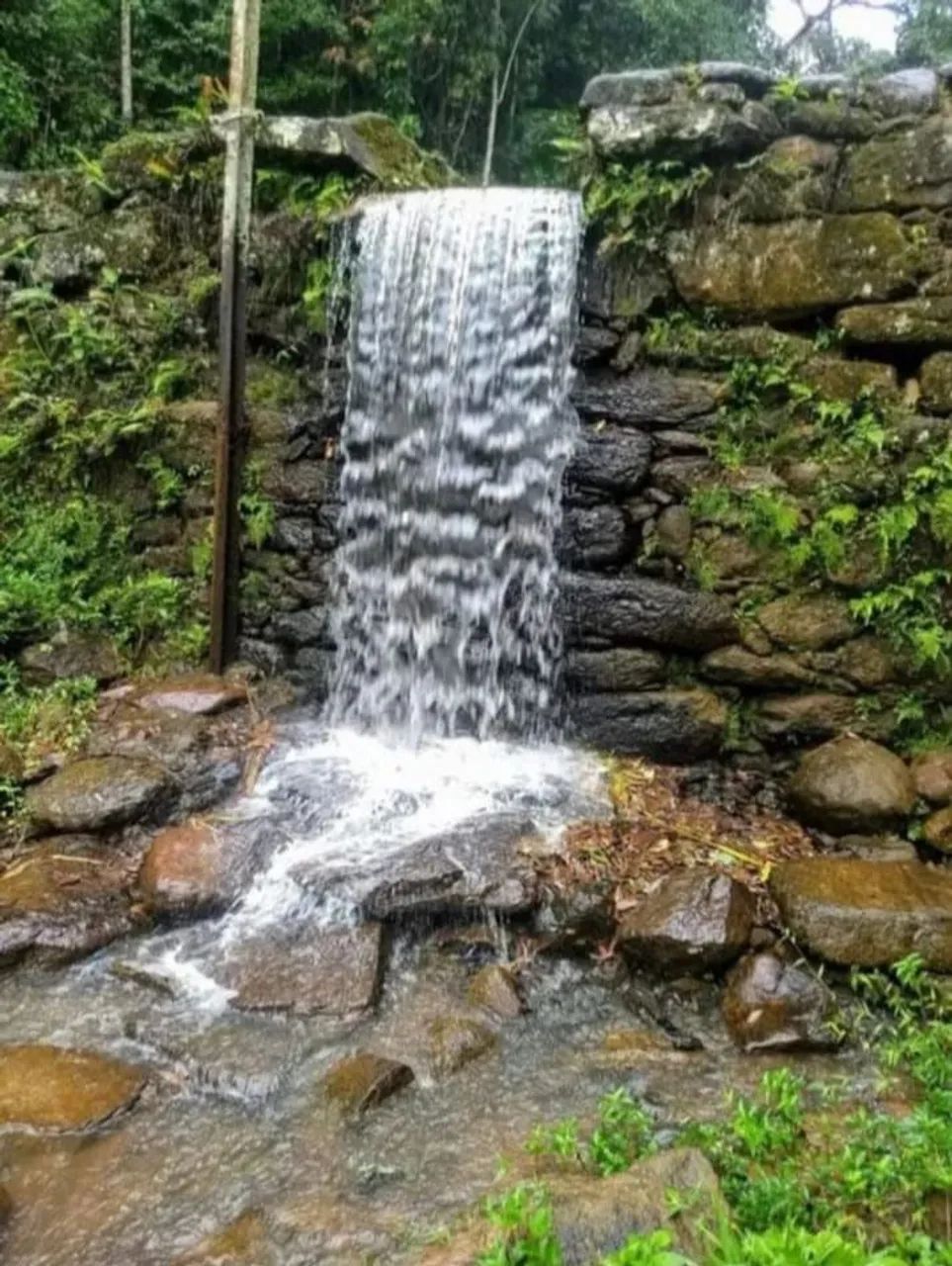 Lindo sítio- Quem vê compra.  - Foto 5