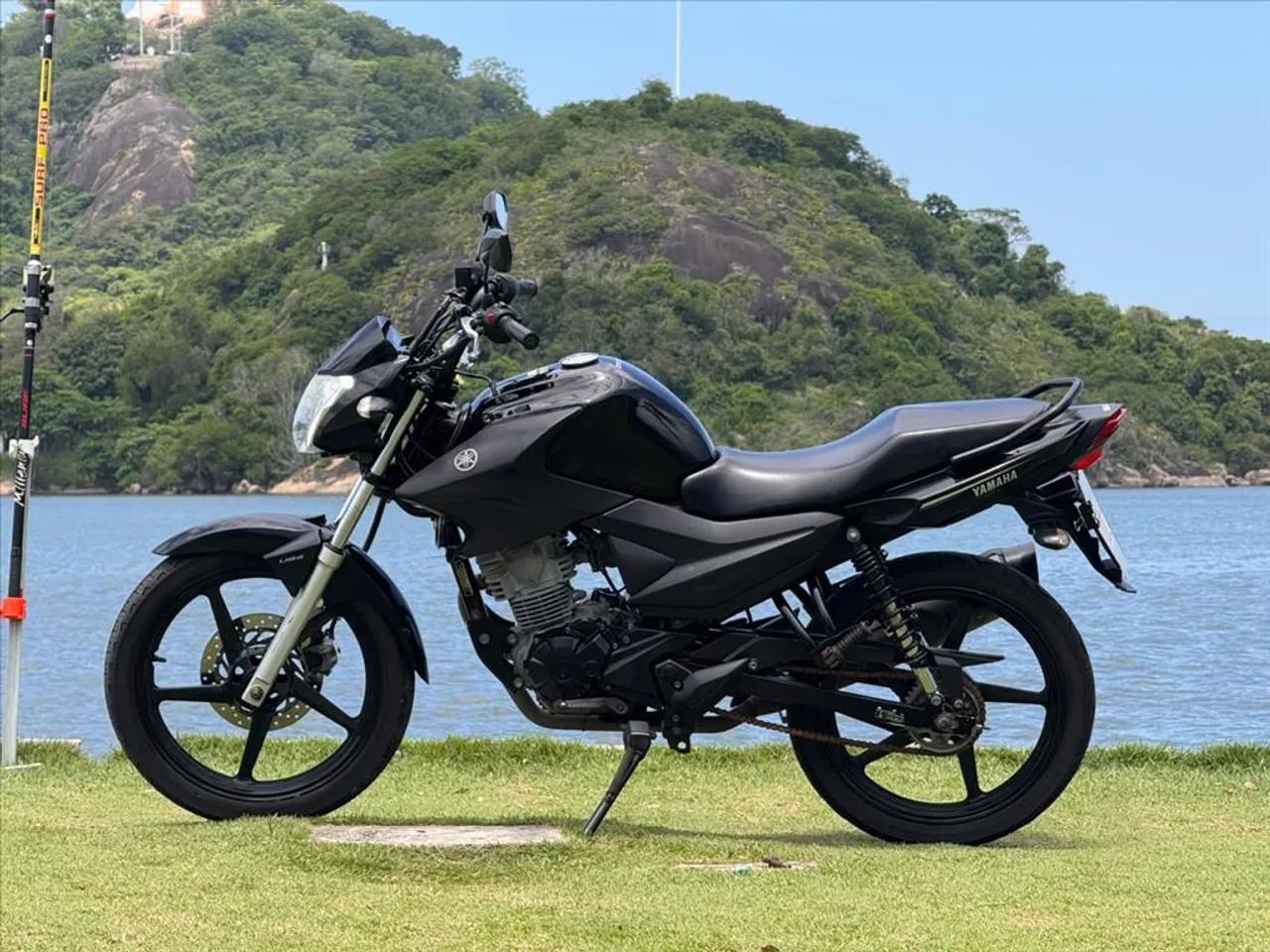 YAMAHA FACTOR YBR 150 ED