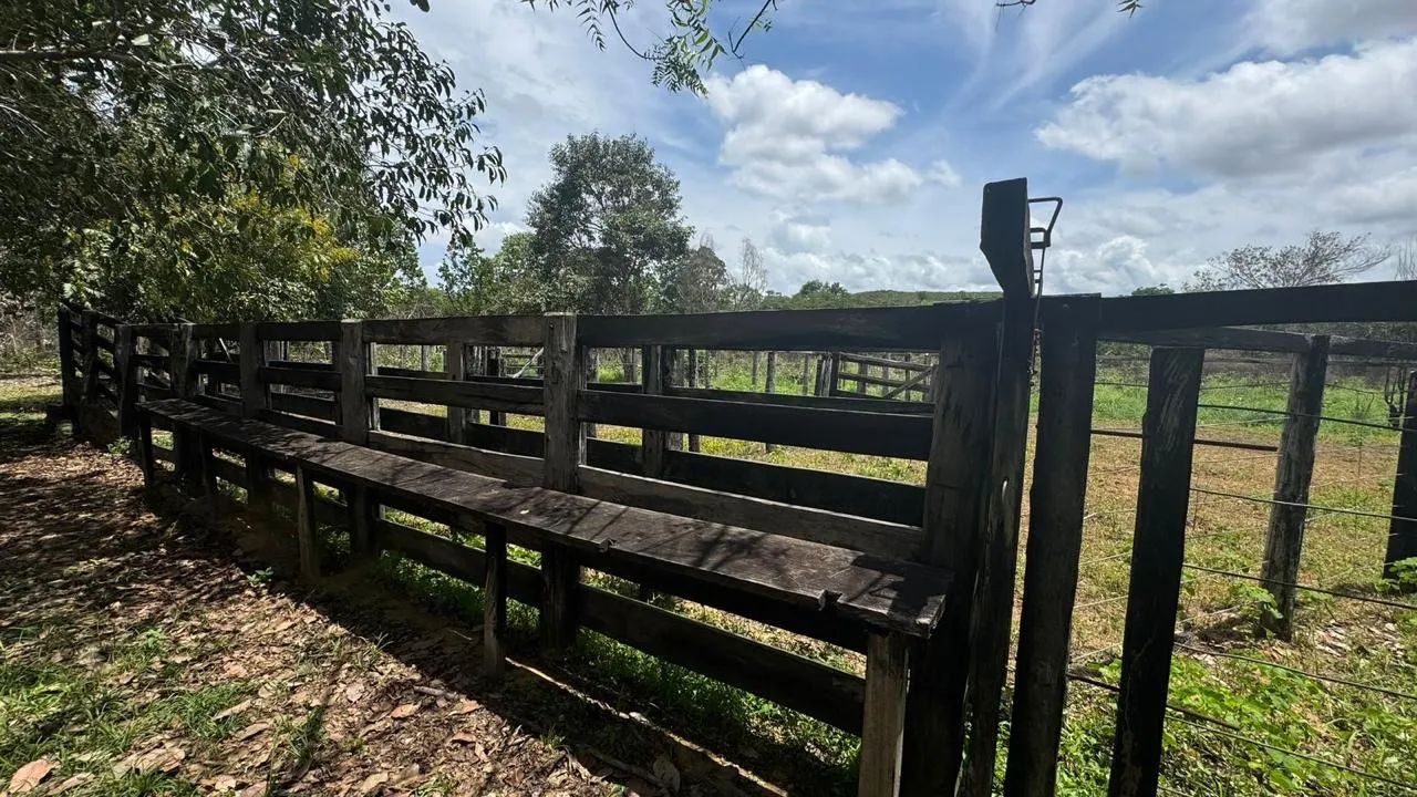 Vende-se Fazenda - Foto 3