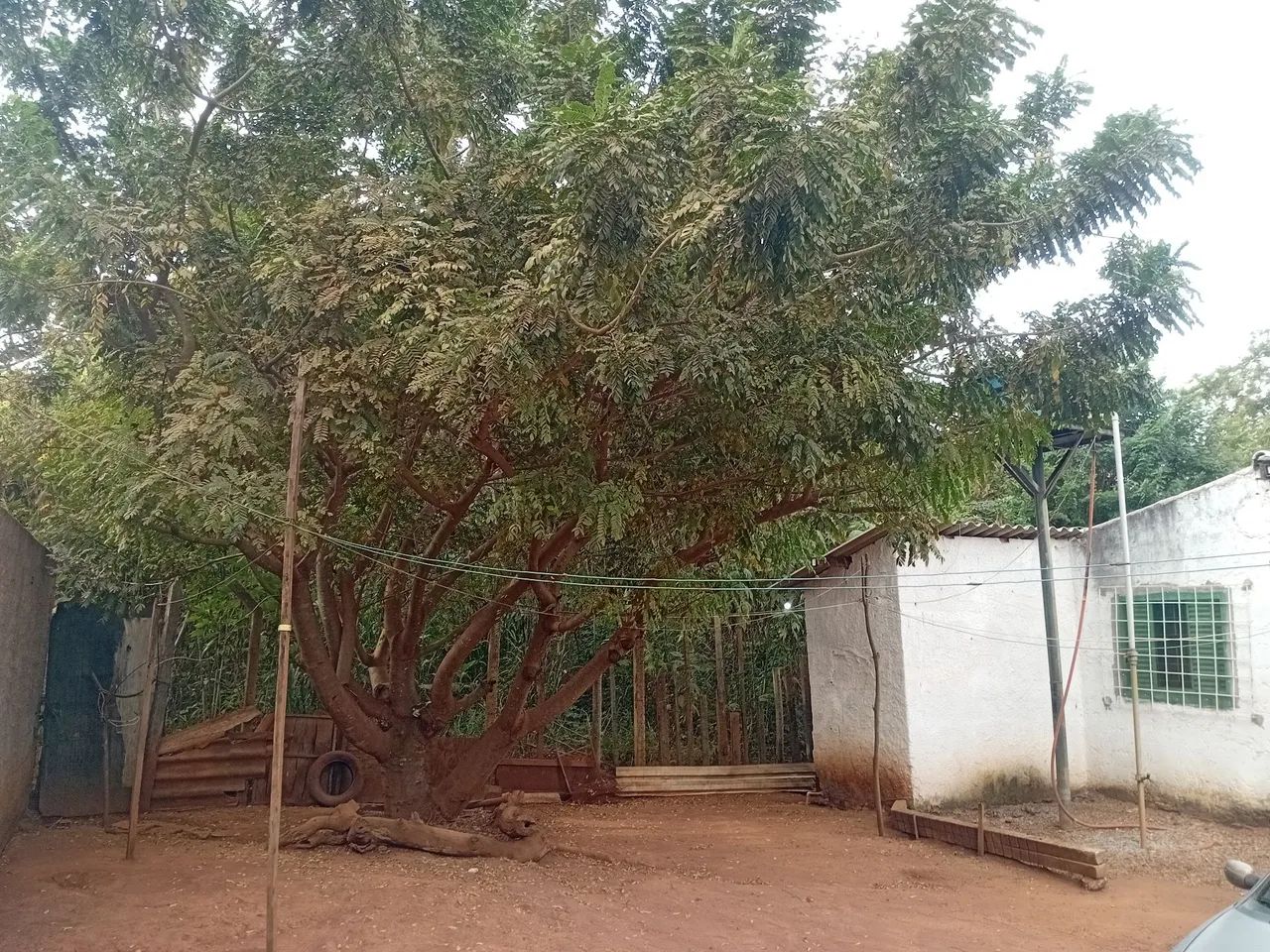 Chácara Capão da Erva  - Foto 2