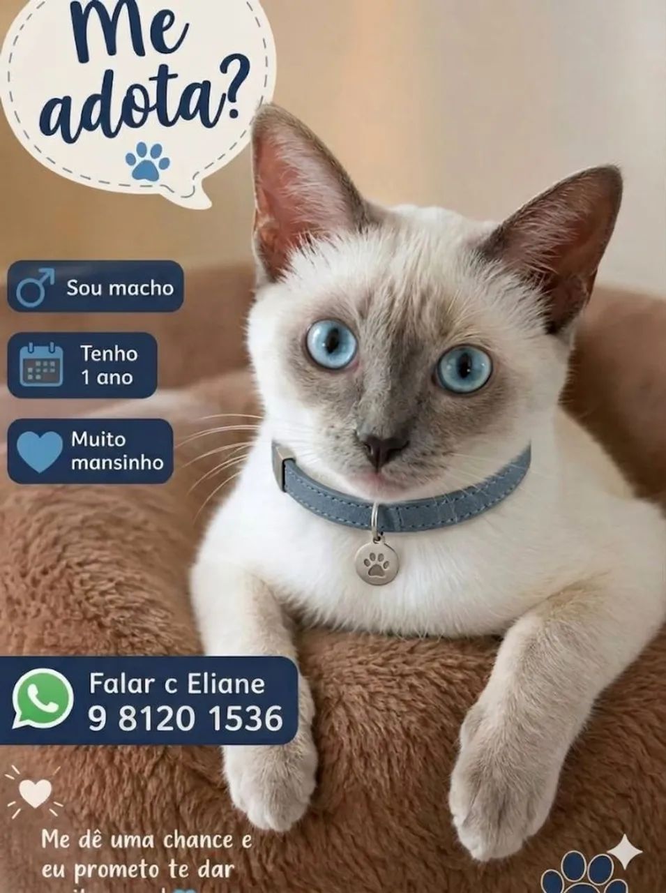 SÓ LINDEZAS - Foto 3